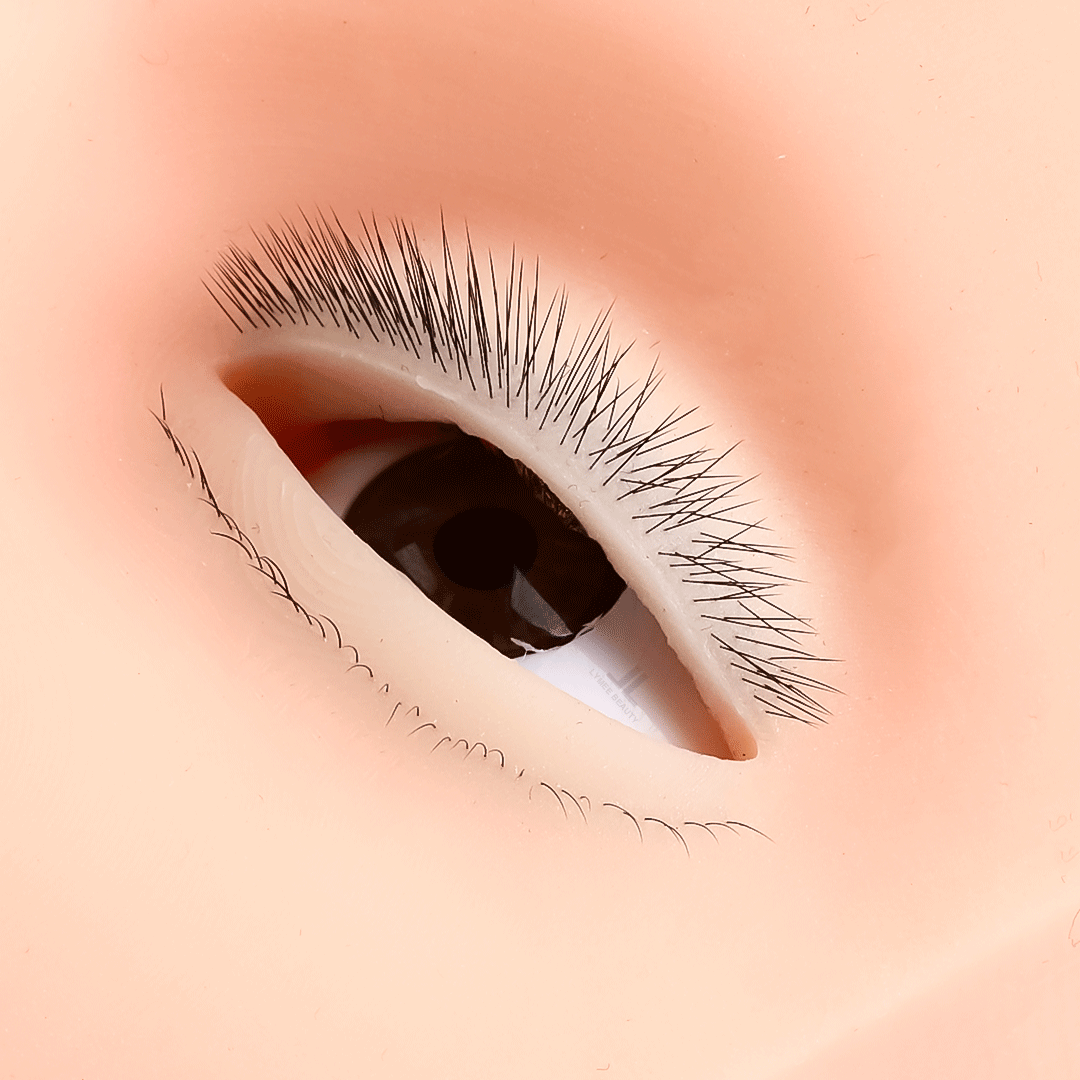 Hot 4-Layer Mini Mannequin for - Eyelash Extension Open Eye recension och pris